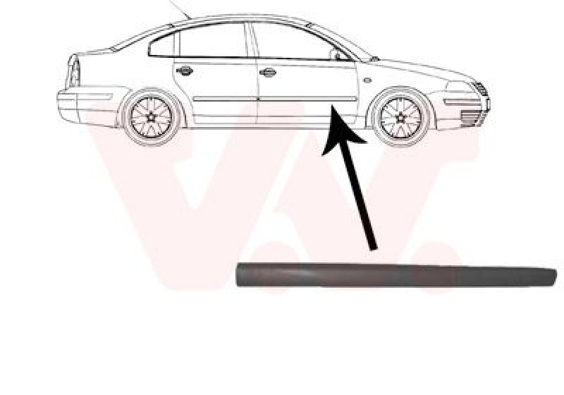 VAN WEZEL Trim/Protective Strip, door