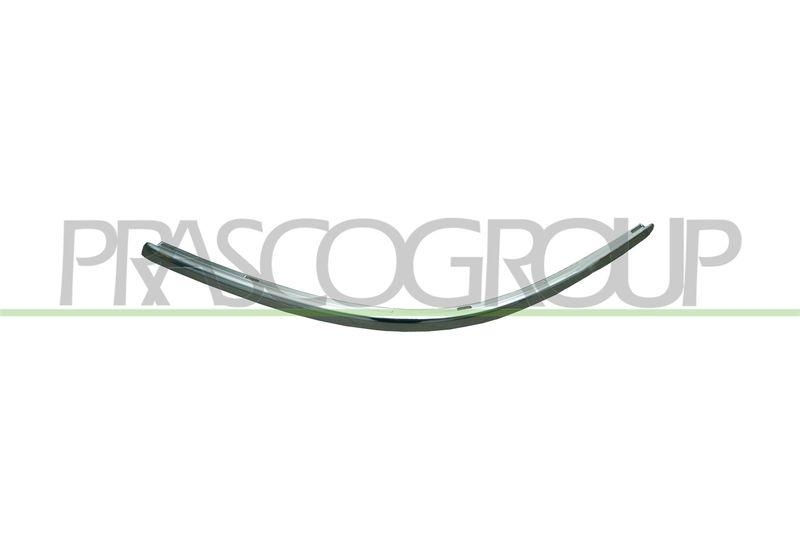 Trim/Protective Strip, bumper Premium