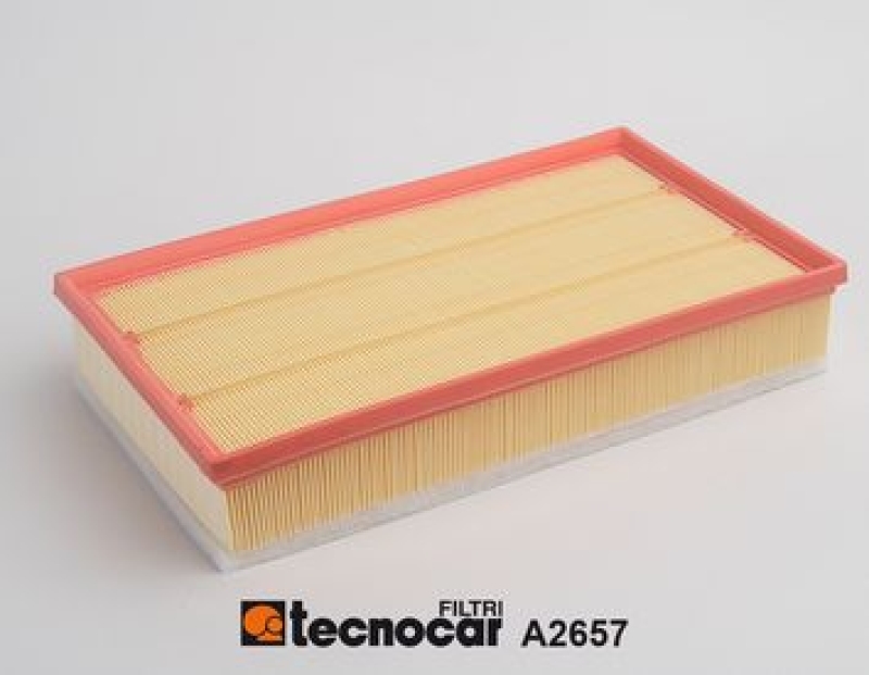 TECNOCAR Air Filter