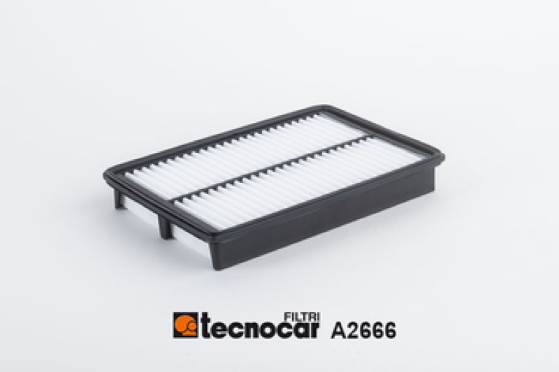 TECNOCAR Luftfilter