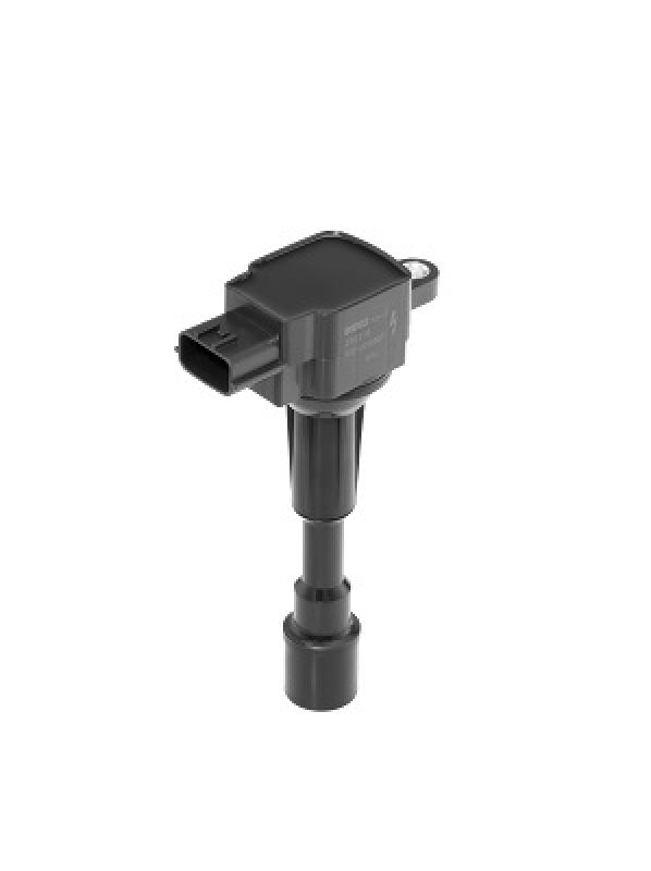 BorgWarner (BERU) Ignition Coil