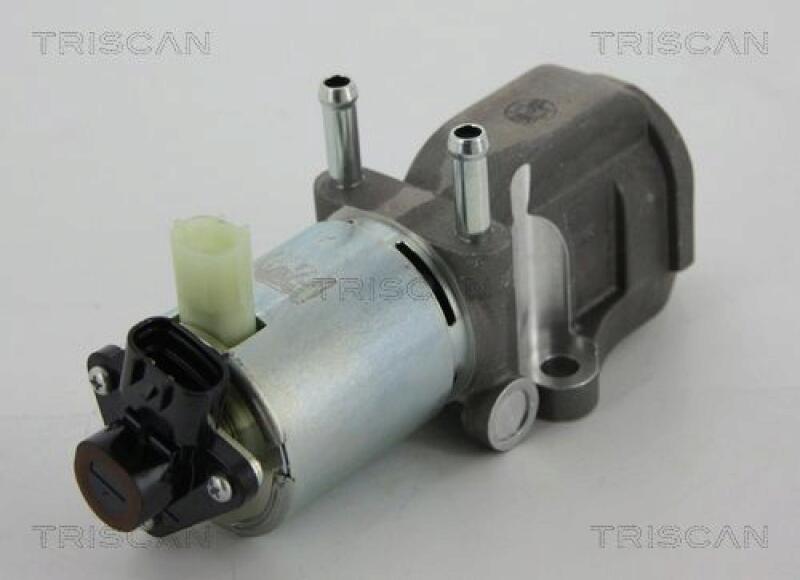 TRISCAN EGR Valve