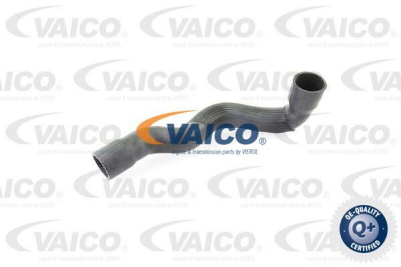 VAICO Charger Air Hose Q+, original equipment manufacturer quality