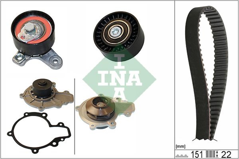 INA Water Pump & Timing Belt Set