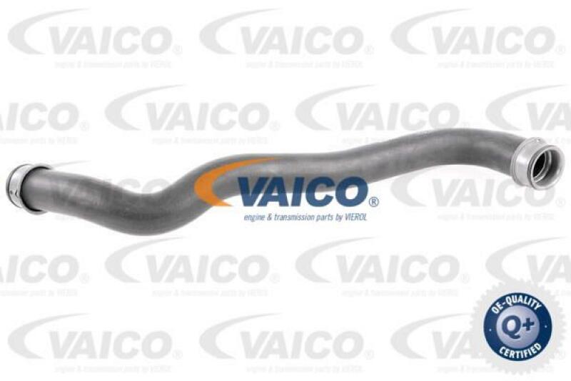 VAICO Radiator Hose Q+, original equipment manufacturer quality