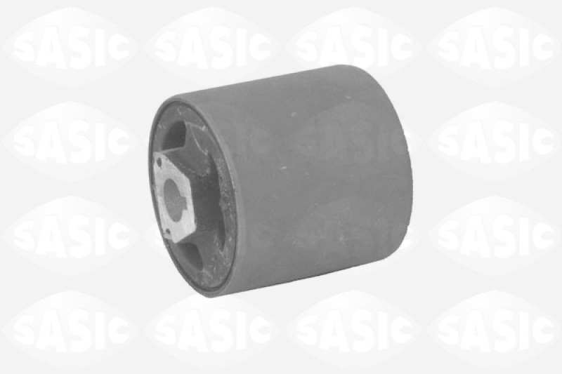 SASIC Control Arm/Trailing Arm, wheel suspension