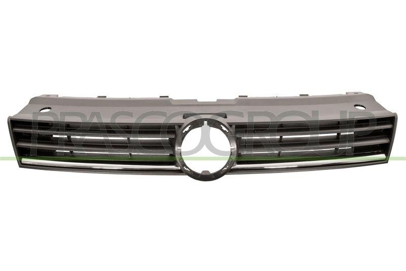 Radiator Grille Premium