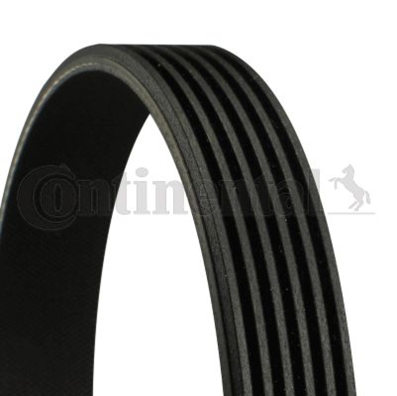 CONTINENTAL CTAM V-Ribbed Belt