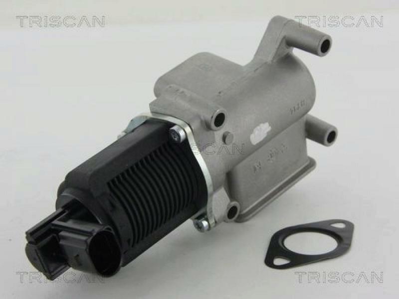 TRISCAN EGR Valve