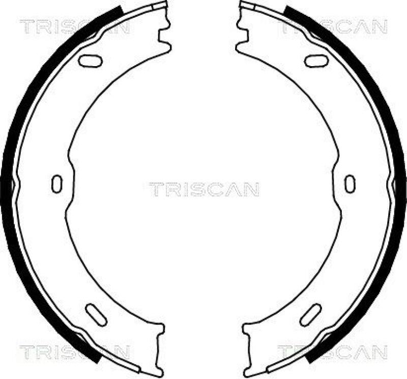 TRISCAN Brake Shoe Set