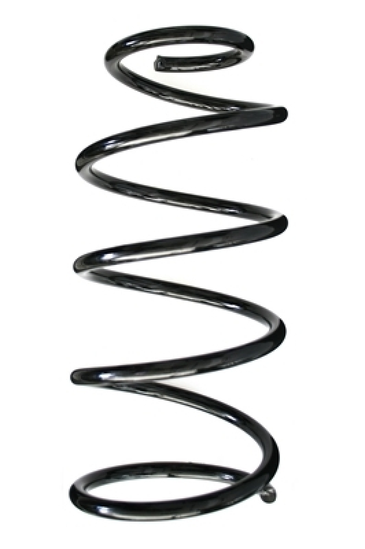 SPIDAN Suspension Spring