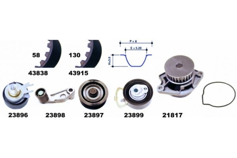 MAPCO Water Pump & Timing Belt Kit