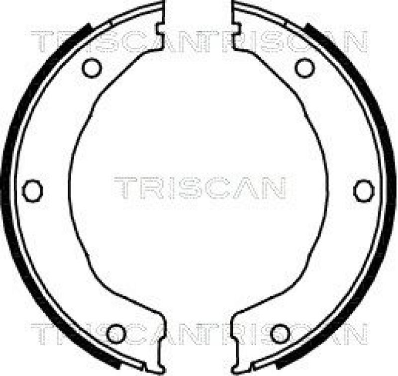 TRISCAN Brake Shoe Set, parking brake