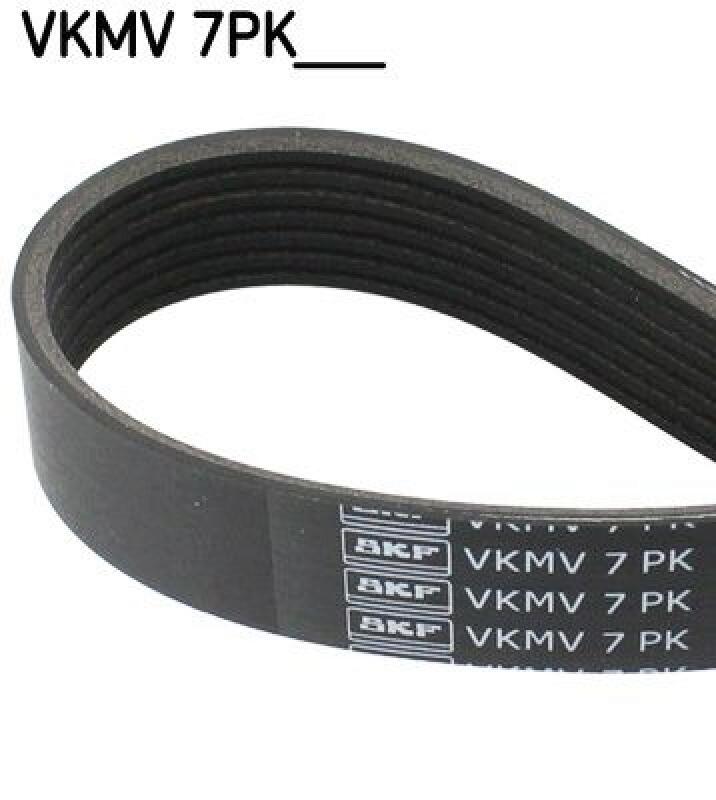 SKF V-Ribbed Belt