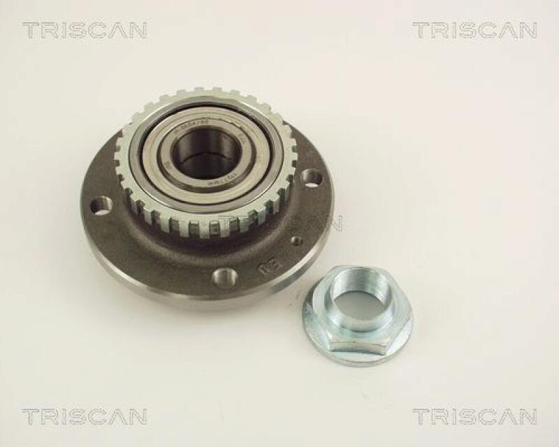 TRISCAN Wheel Bearing Kit