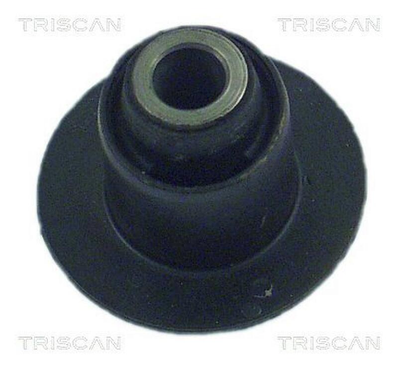 TRISCAN Mounting, axle beam