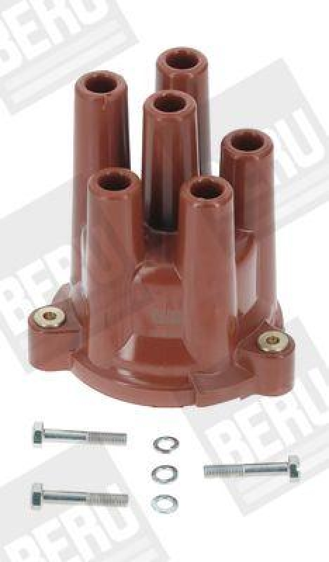 BERU by DRiV Distributor Cap