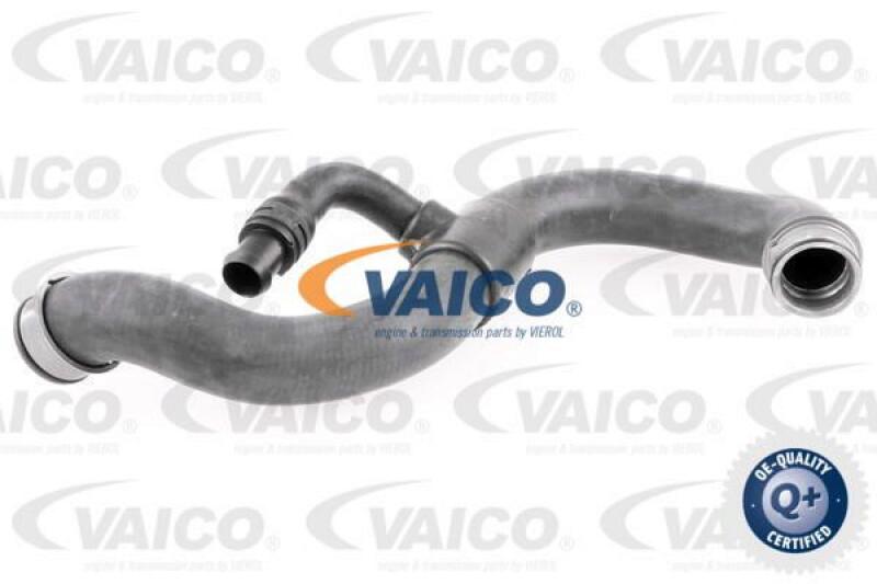 VAICO Radiator Hose Q+, original equipment manufacturer quality