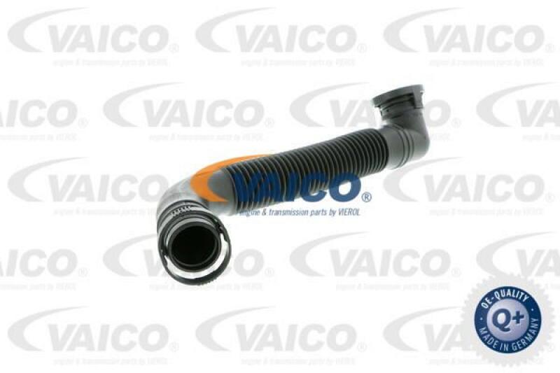 VAICO Hose, air supply Q+, original equipment manufacturer quality MADE IN GERMANY