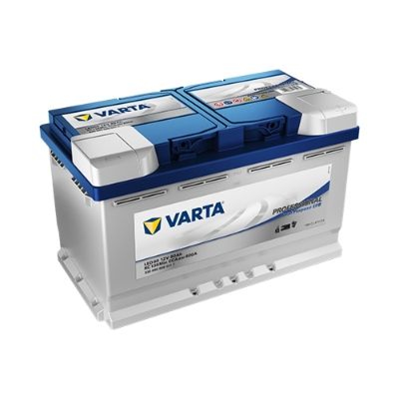 VARTA Starterbatterie Professional Dual Purpose EFB