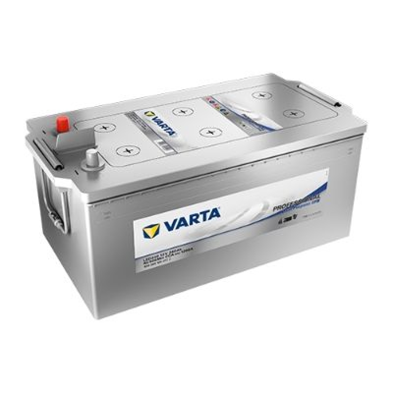 VARTA Starterbatterie Professional Dual Purpose EFB