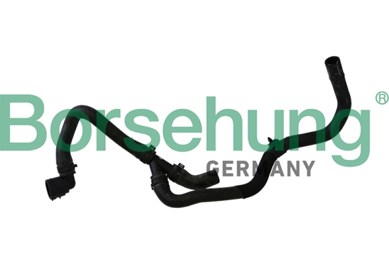 Borsehung Kühlerschlauch