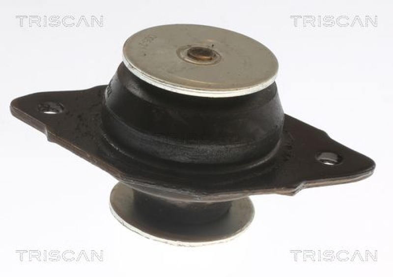 TRISCAN Lagerung, Motor