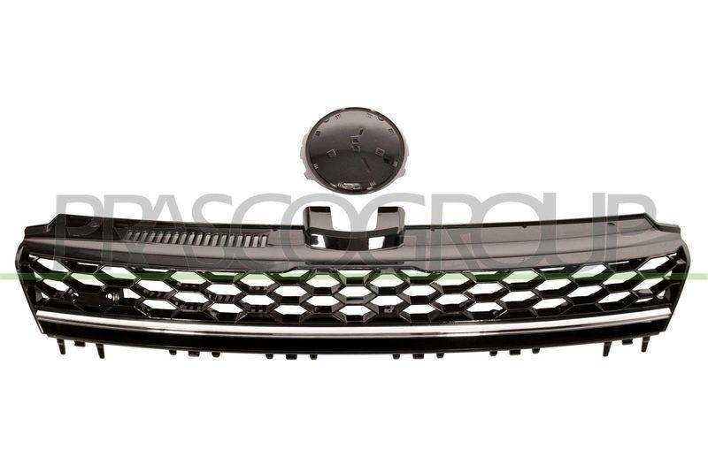 Radiator Grille