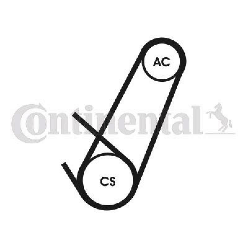CONTINENTAL CTAM Keilrippenriemensatz