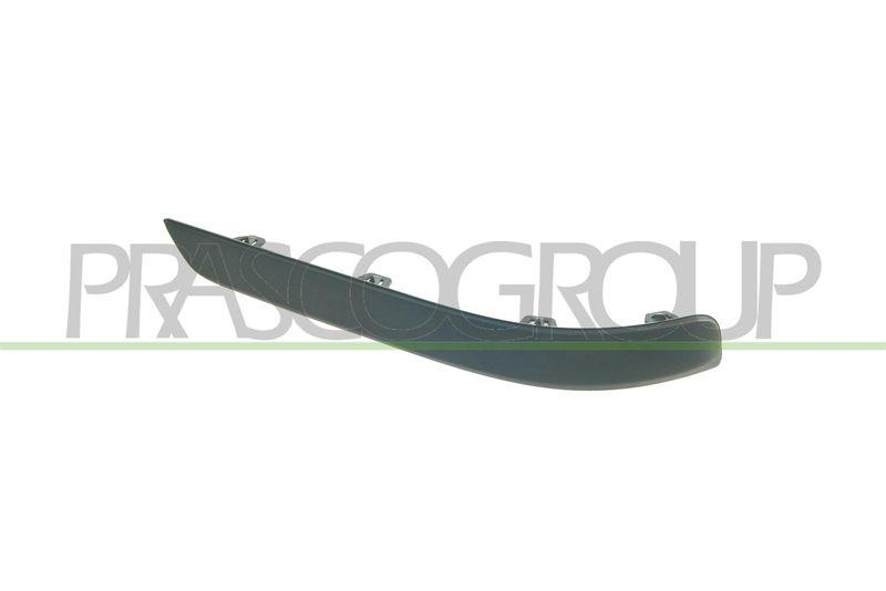 Trim/Protective Strip, bumper Premium