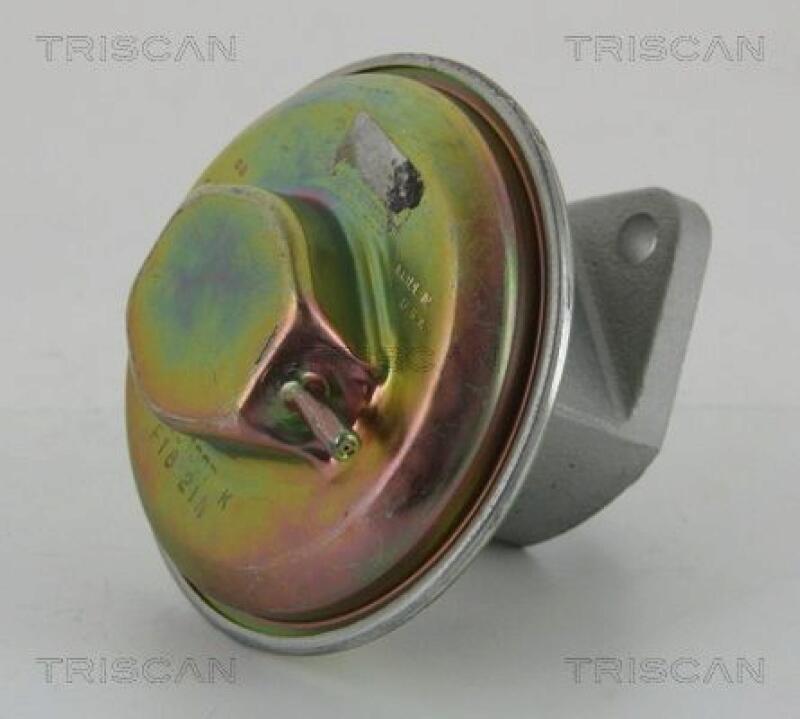 TRISCAN EGR Valve