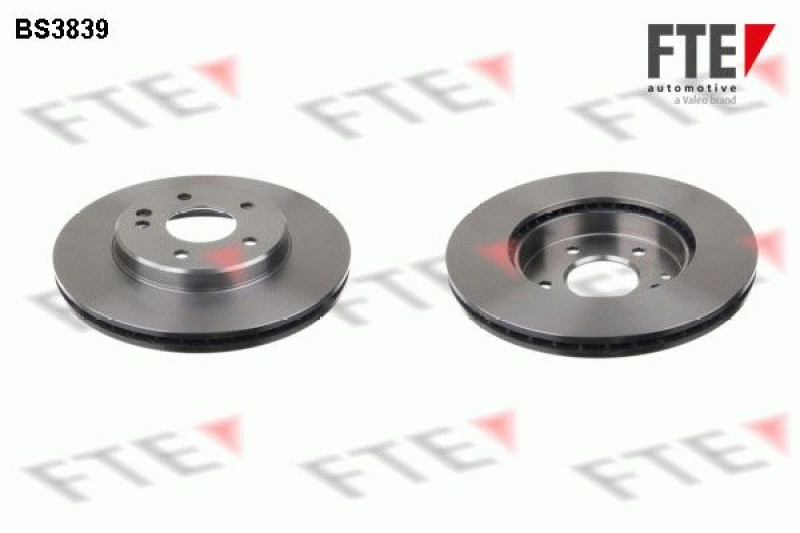 2x FTE Brake Disc