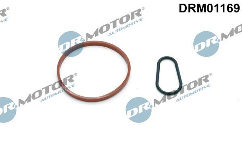 Dr.Motor Automotive Dichtungssatz, Unterdruckpumpe