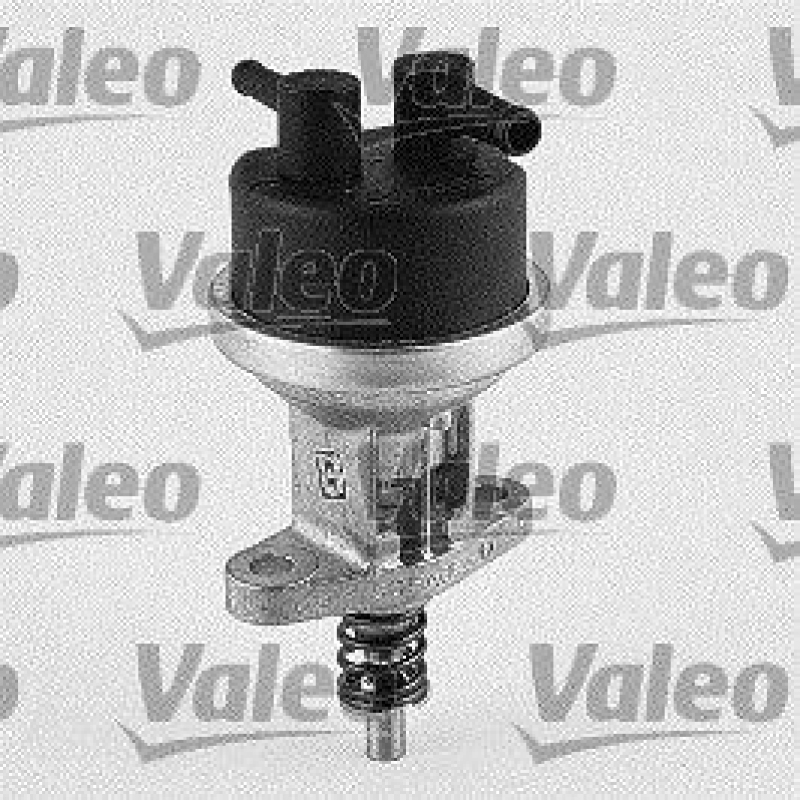 VALEO Kraftstoffpumpe