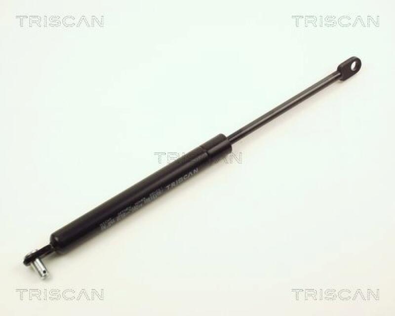 TRISCAN Gas Spring, boot-/cargo area