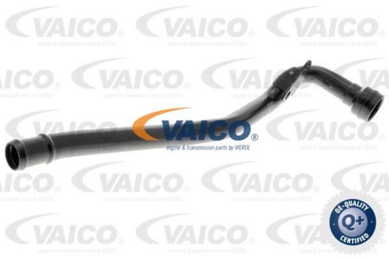 VAICO Hose, crankcase breather Q+, original equipment manufacturer quality