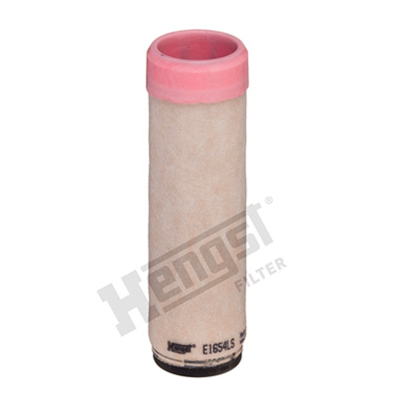 HENGST FILTER Secondary Air Filter