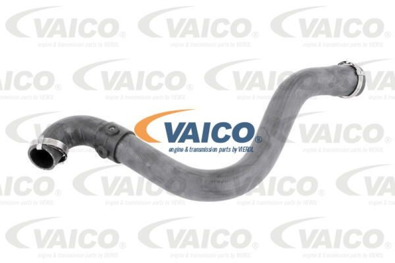 VAICO Charge Air Hose Original VAICO Quality