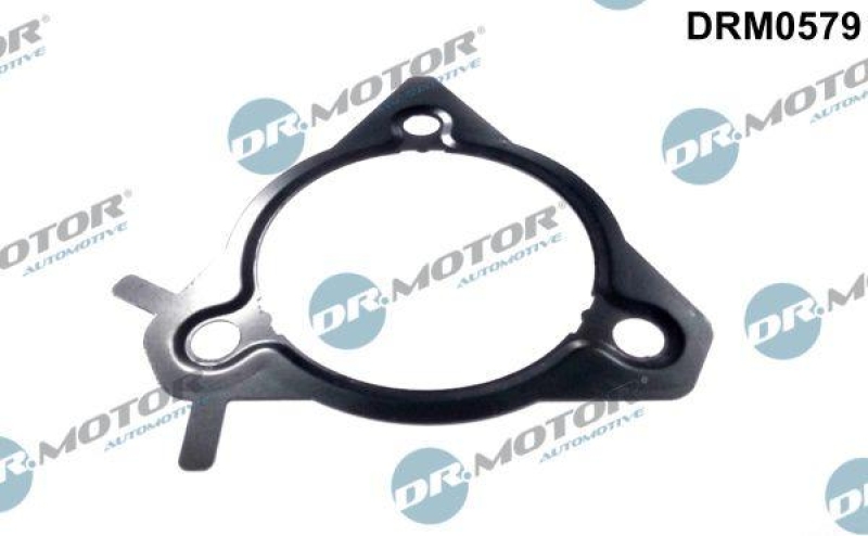 Dr.Motor Automotive Dichtung, Einspritzpumpe