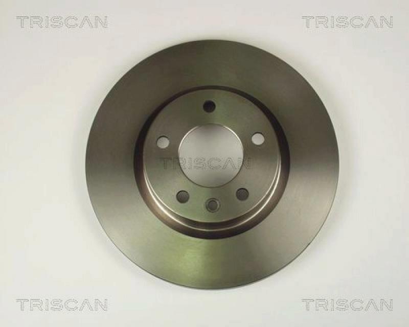 2x TRISCAN Brake Disc