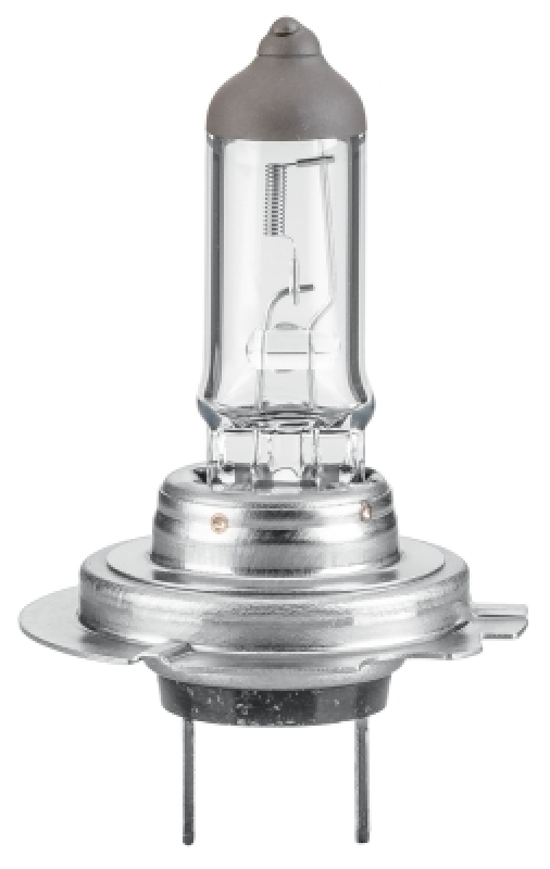 HELLA Bulb, headlight STANDARD