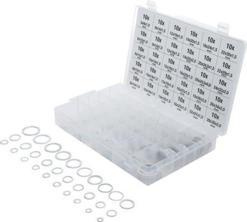 BGS Seal Ring Kit