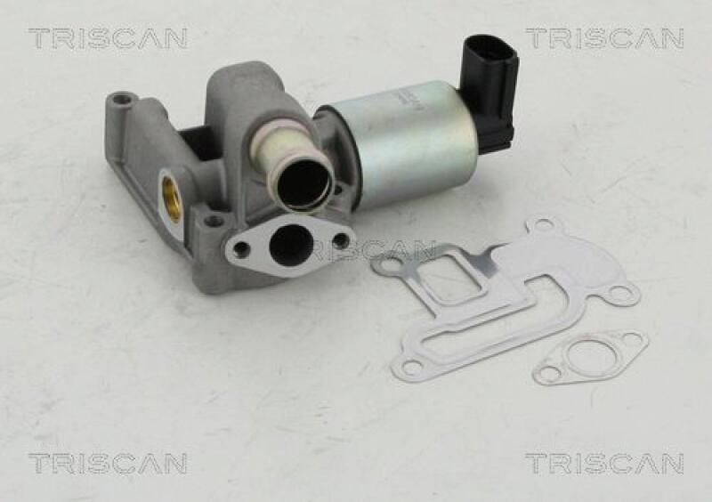 TRISCAN EGR Valve