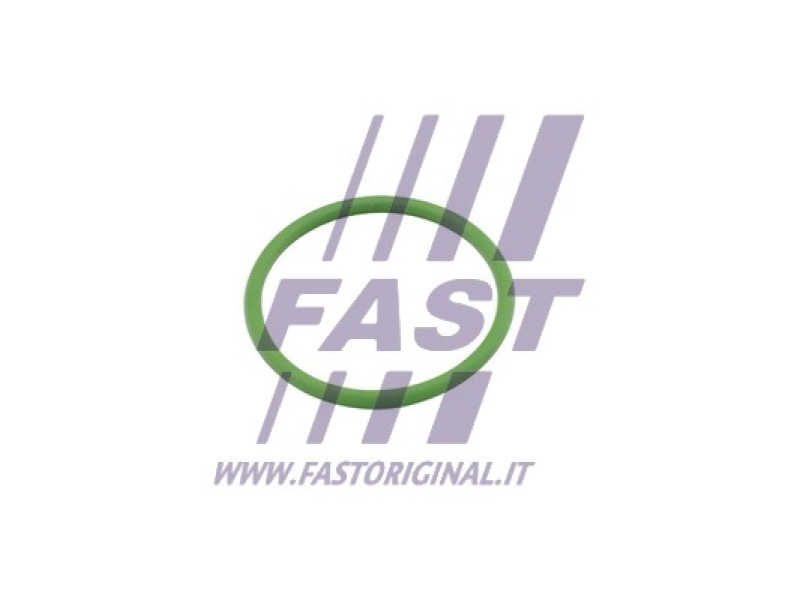 FAST Dichtung, Turbineneinlass (Lader)