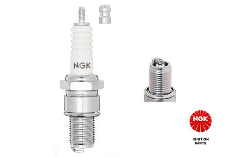 NGK Spark Plug