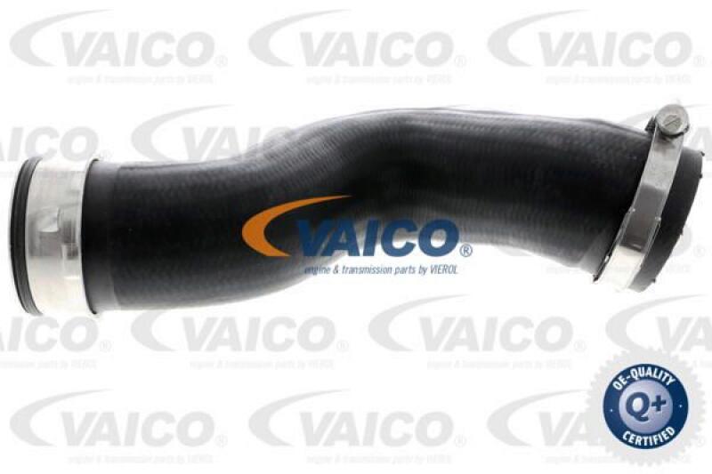 VAICO Charger Air Hose Q+, original equipment manufacturer quality