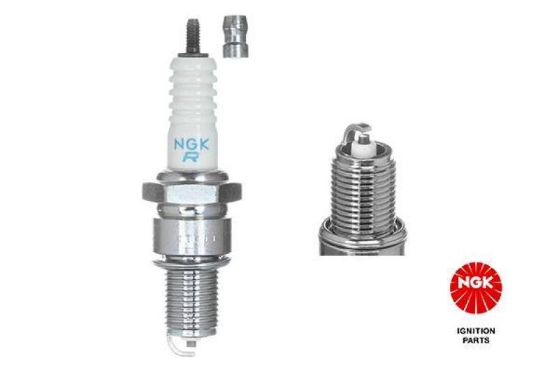 NGK Spark Plug