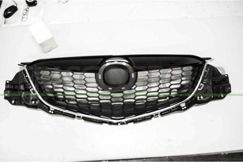 Radiator Grille