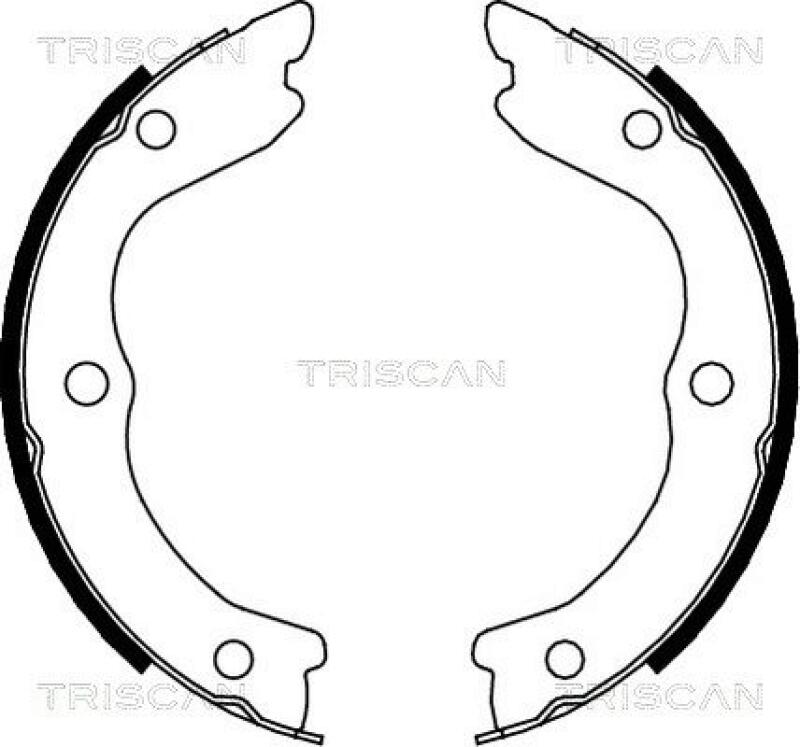 TRISCAN Brake Shoe Set, parking brake