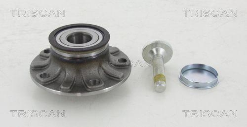 TRISCAN Wheel Bearing Kit